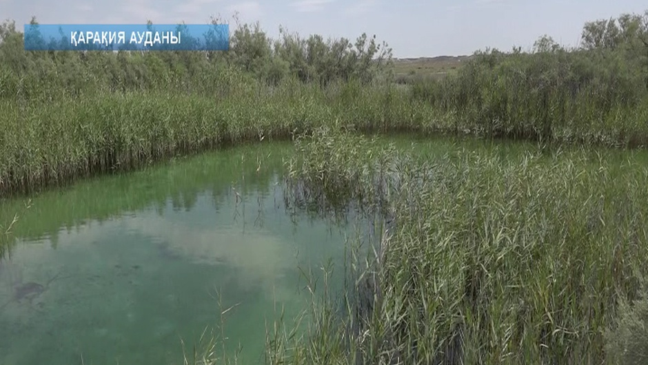 ӨНЕРЕ МЕН ҚАРЫНЖАРЫҚ: МАҢҒЫСТАУДЫҢ ТУРИСТІК ӘЛЕУЕТІ АРТЫП КЕЛЕДІ