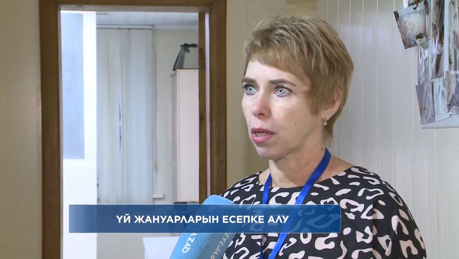 Үй жануарын есепке алу